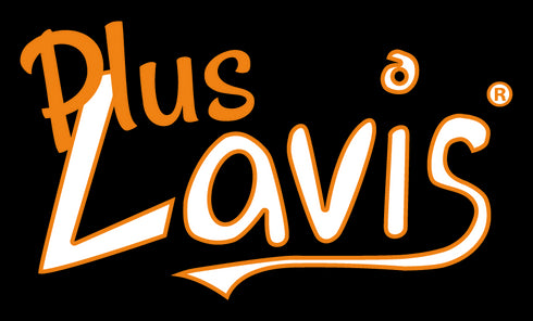 Plus-Lavis Verkkokoulutus